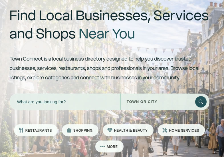 Searching on Town Connect business platform