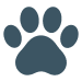 Pet Services